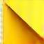 Newsletter envelope icon